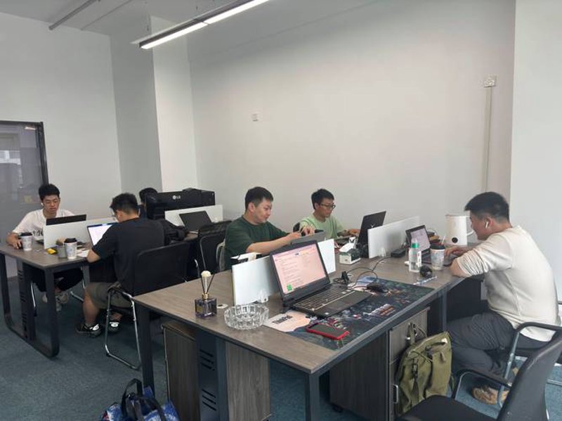 软件开发：构建未来的技术桥梁